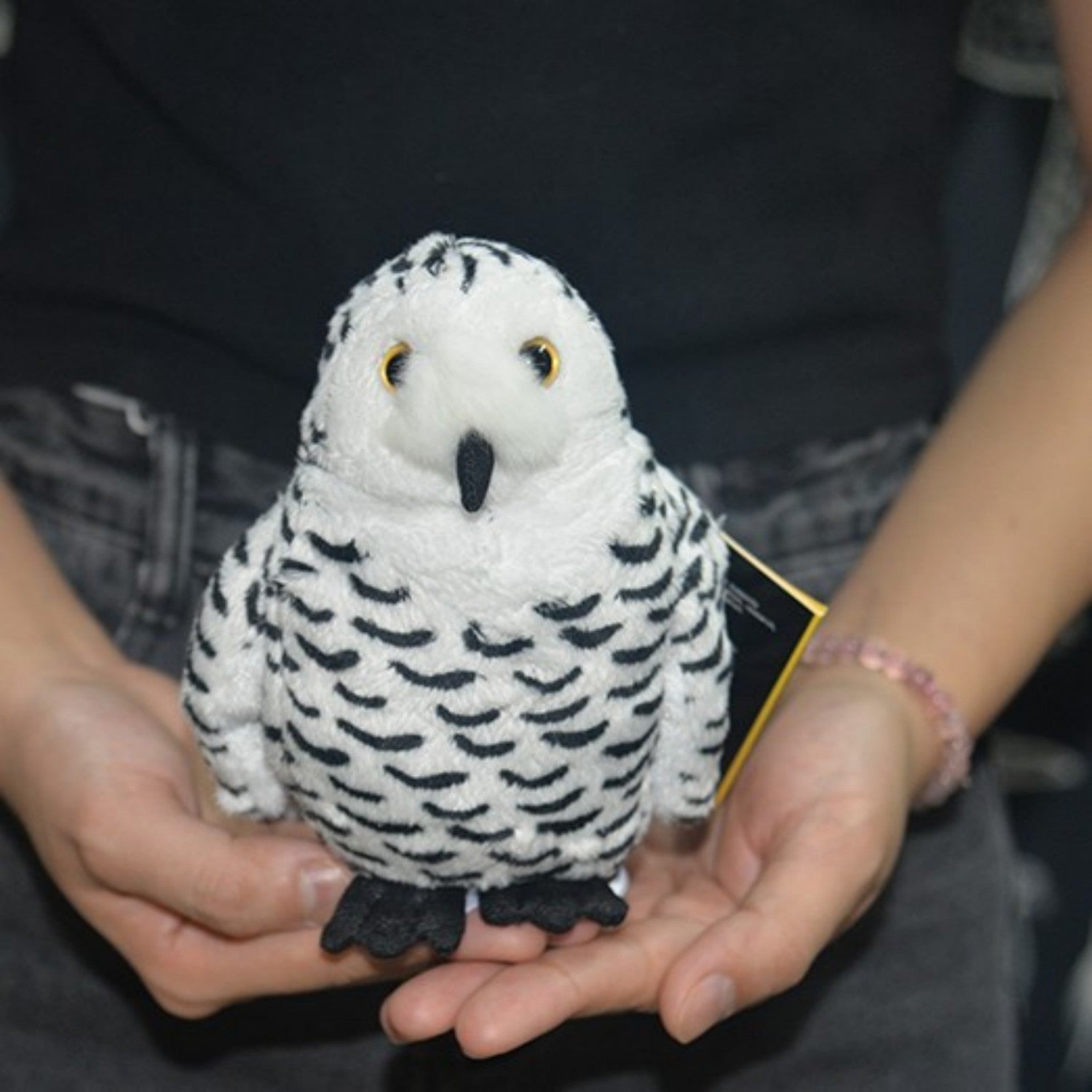 Plush Toys For Both Men And Women