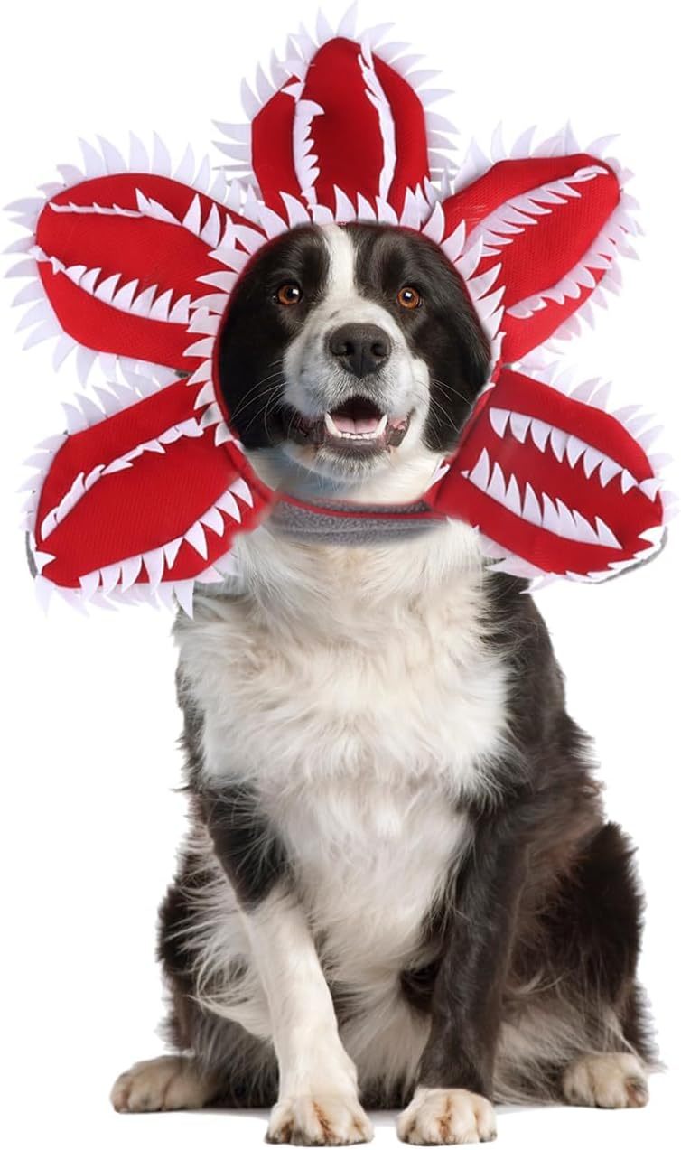 Dog Halloween Chomper Costume - Pet Holiday Demon Hat Scary Headband Flower Cosplay Outfits Funny Headwear Stranger Clothes For Medium Dog
