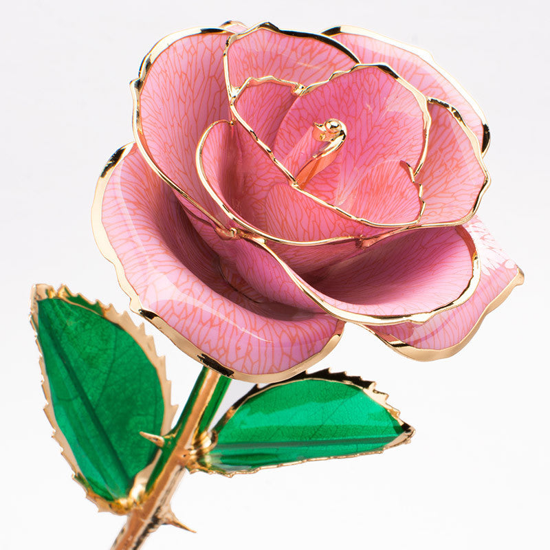 24K Gold-Plated Rose Flower With A Gift Box Valentine's Day Gift