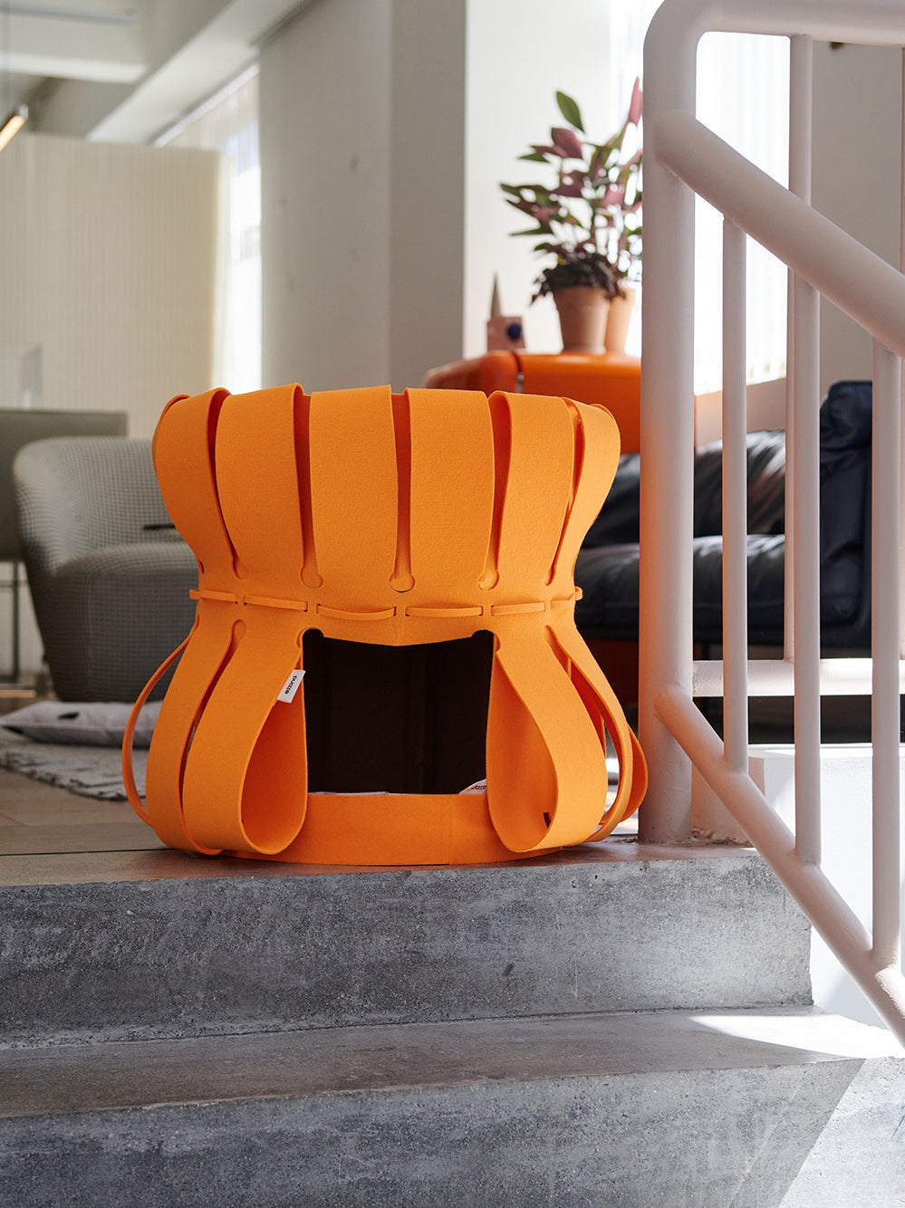 Double-Deck Scratching Board Multi-Functional Cat Litter