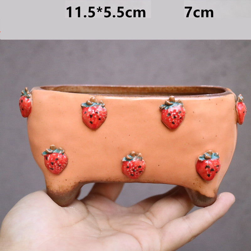 Strawberry Stoneware Succulent Plant Pot