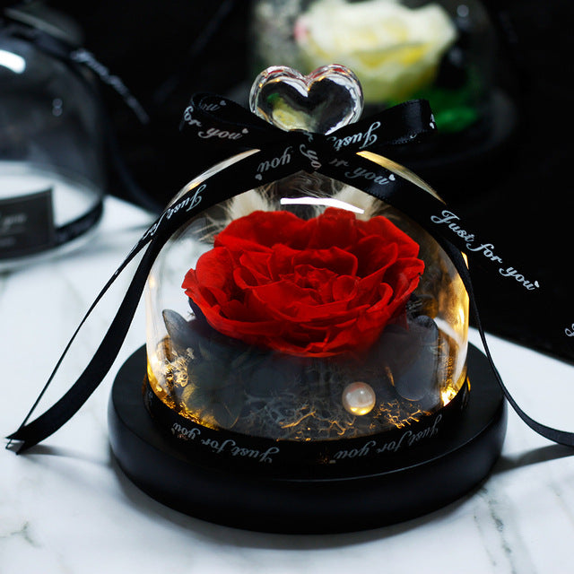 Mother Day Present Dried Flowers Assor