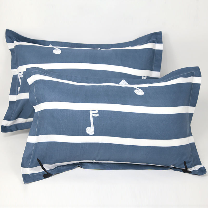 Pillowcase Pair Plus Size Thickened Home